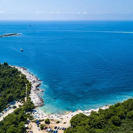 ヴィラ Stylish & Luxury With Pool, Biliard, Extra Pool Heating Available - Wiibuk