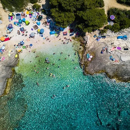 Stylish & Luxury With Pool, Biliard, Extra Pool Heating Available - Wiibuk ヴィラ